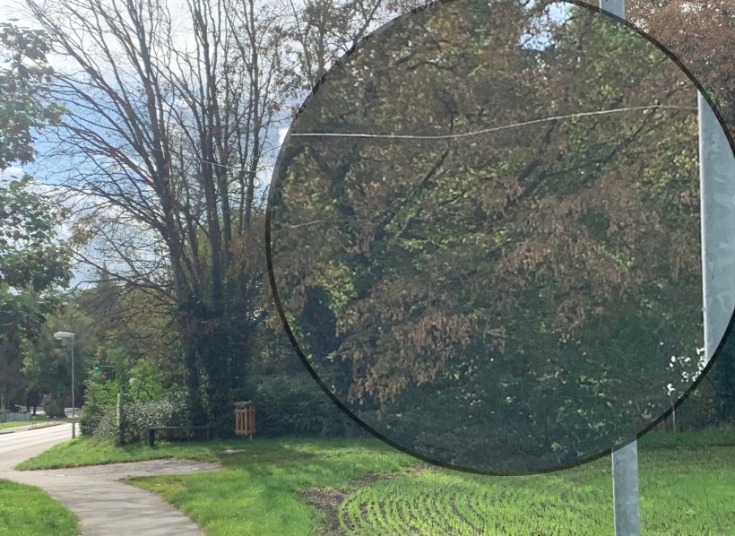 Ein Spinnenfaden spannt sich von einem Laternenpfahl rechts aus über den Radweg (unten links im Bild)