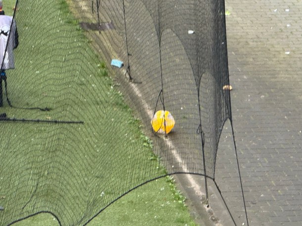Auf der weißen Grundlinie eines Fußballrasens liegt ein gelber Wasserball unter dem schwarzen Fangnetz für Wurfgeschosse.